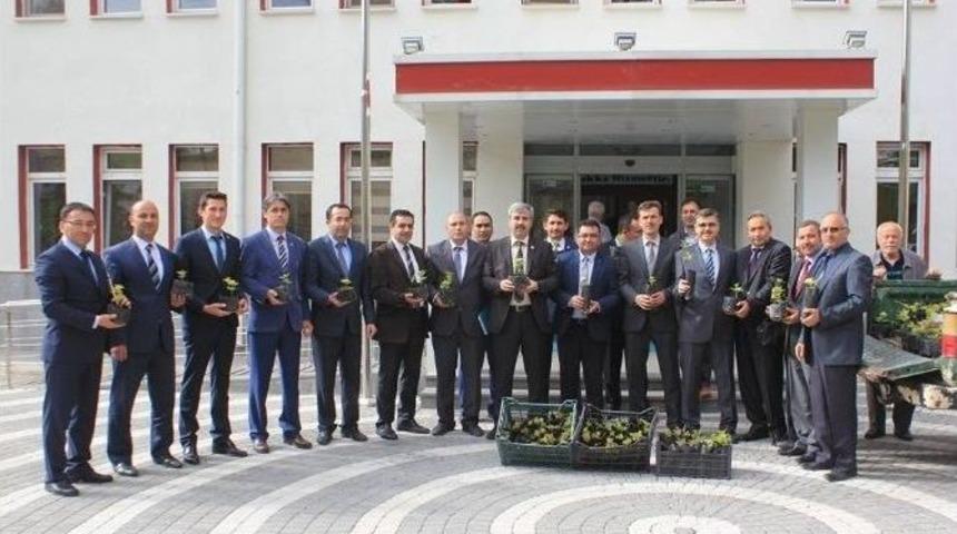 Gilaburu &Uuml;retimi Başka B&ouml;lgelerde De Yaygınlaştırılacak