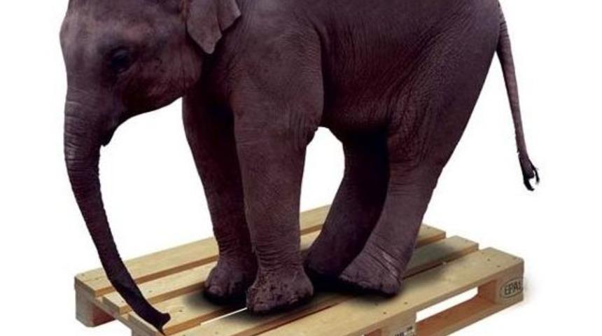 Epal Paletleri İle G&uuml;venli Taşımacılık