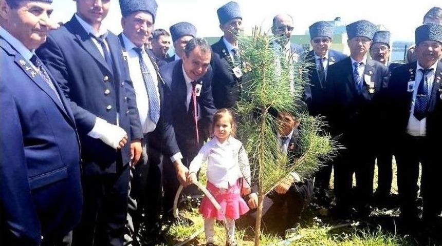 Atat&uuml;rk&rsquo;&uuml;n Ayvalık&rsquo;a Gelişinin Anısına Gaziler Fidan Dikti