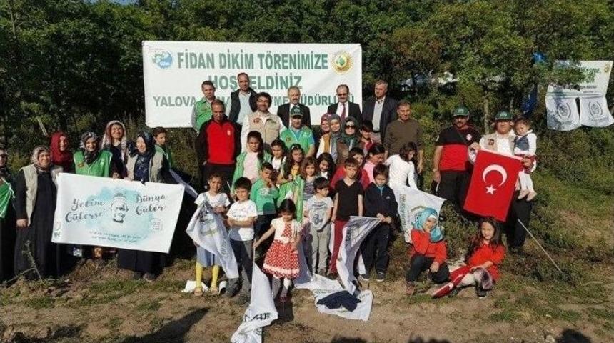 "yetim Kardeş Ormanı"na Fidan Dikildi