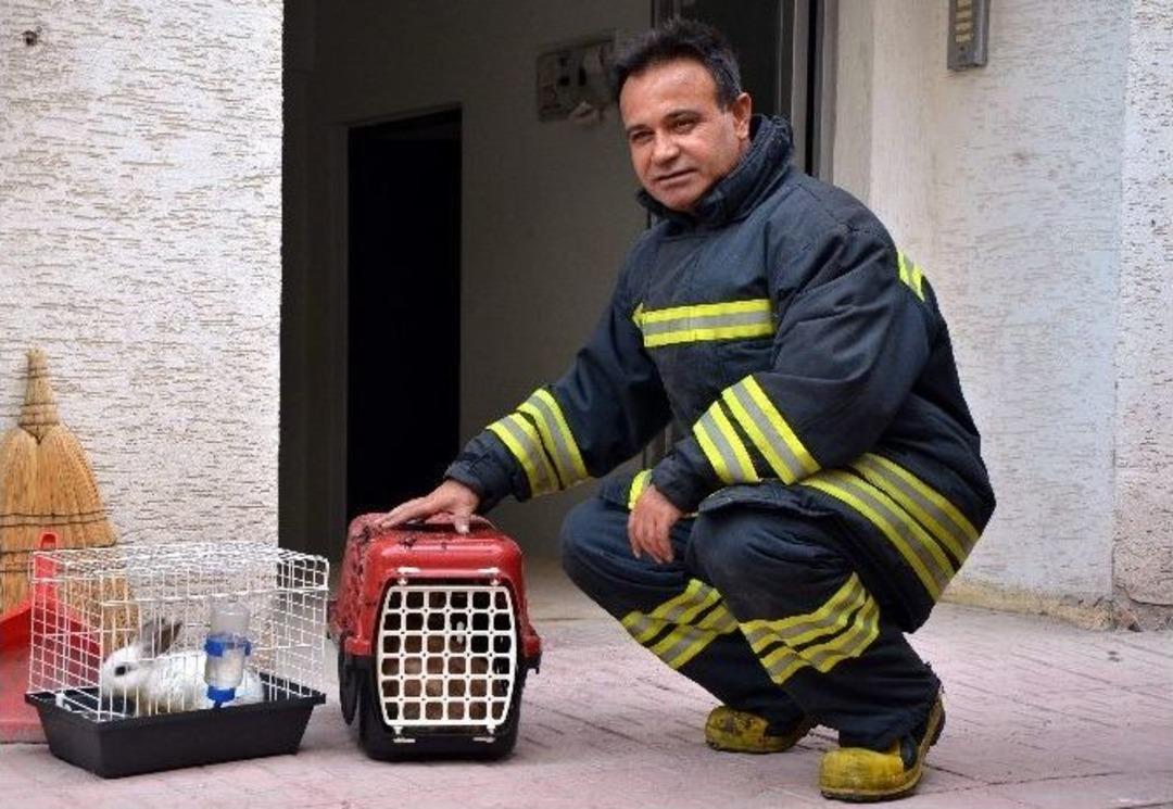 Komşuların Duyarlılığı Hayvanların Canını Kurtardı