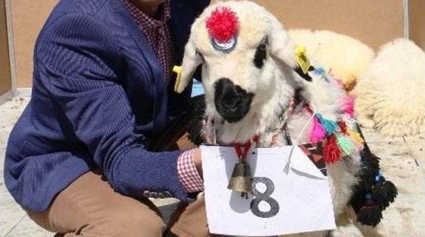 Doğu Anadolu Tarım Hayvancılık Ve Gıda Fuarı A&ccedil;ıldı