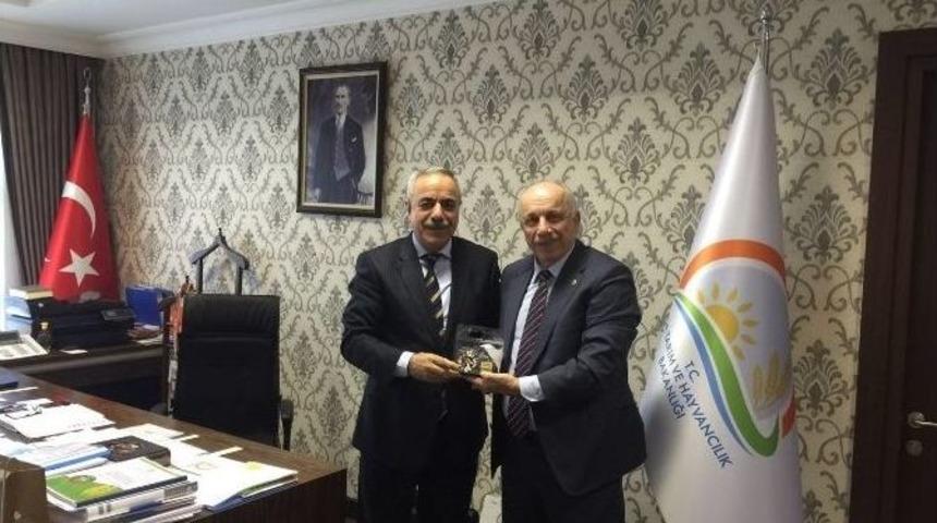 Zonguldak&rsquo;a Tarımda &Ouml;zel Talimat