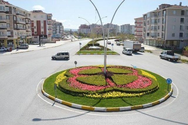 Çorum’da Laleler Açtı