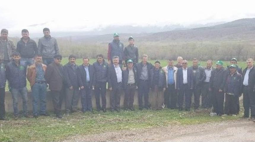 &Ouml;zvatan, Develi Ve Tomarza&rsquo;da Pancar Tarımına İlgi Artıyor