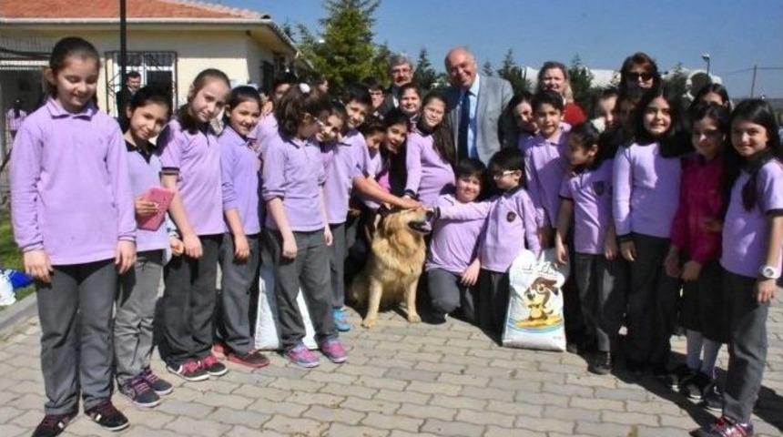 Miniklerin Hayvan Sevgisi