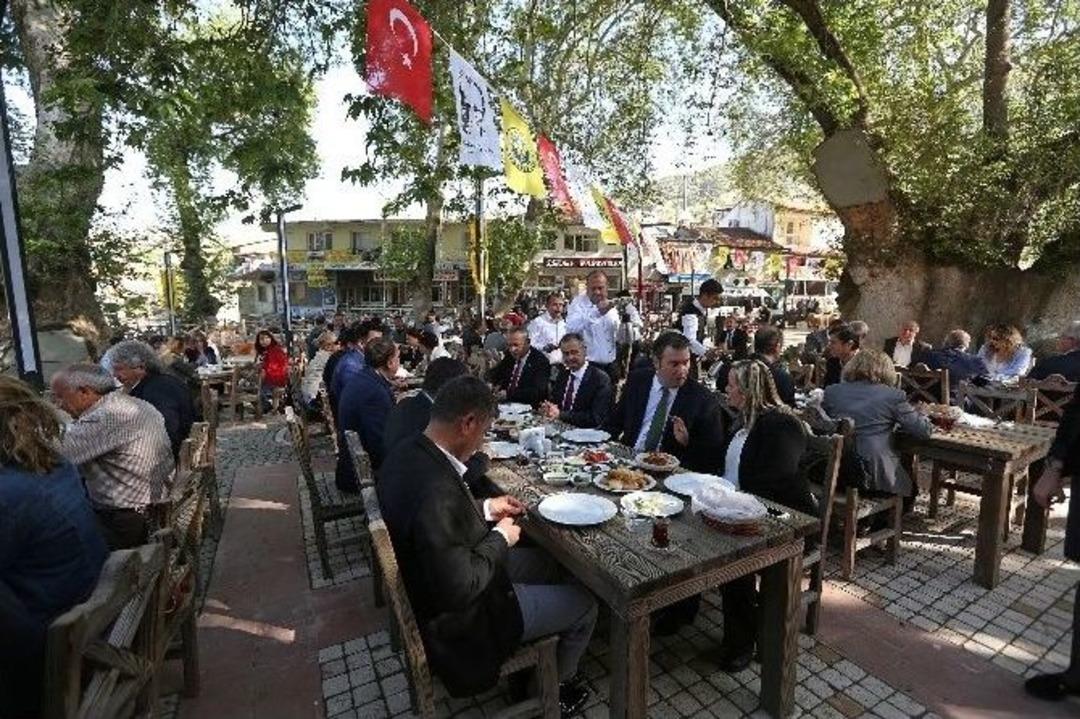 Bin Yıllık &Ccedil;ınarın Keyfi, Bu&rsquo;&ccedil;ınar Kafe&rsquo;de &Ccedil;ıkacak