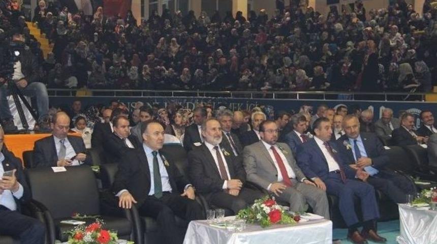 Kutlu Doğum Programına Yoğun İlgi