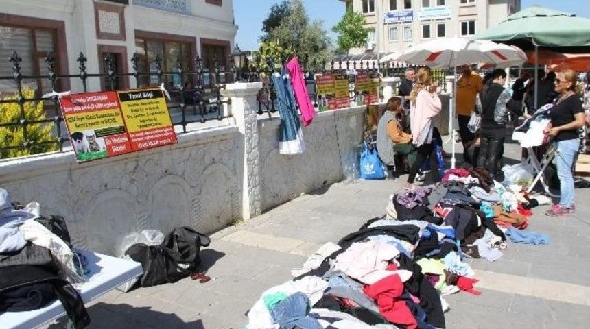 Didim&rsquo;de Sokak Hayvanları Yararına Bir Araya Geldiler