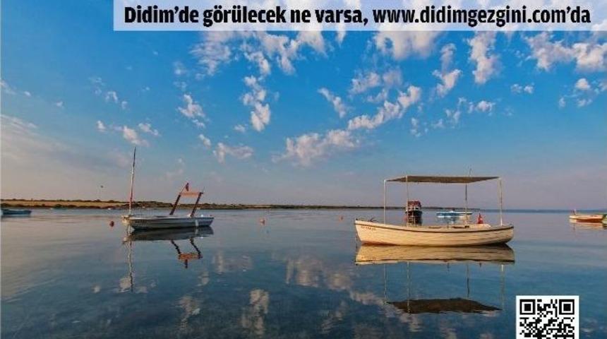 Geka Destekli Kurulan &lsquo;didimgezgini.com&rsquo; İlk 7 Ayda 84 Bin Kişi Ziyaret Etti