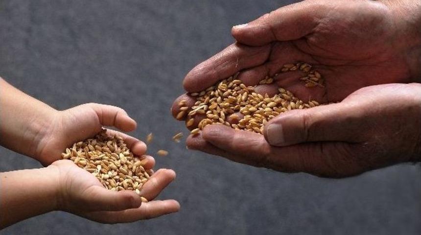 &Ouml;l&uuml;ms&uuml;z Ağacın Lezzetleri G&ouml;r&uuml;c&uuml;ye &Ccedil;ıkıyor