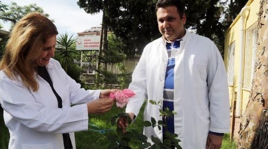 Hem Hastaları Hem De Hastaneyi G&uuml;zelleştiriyorlar