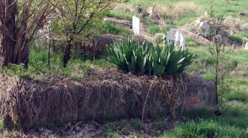 Bah&ccedil;e Değil, Mezarlık