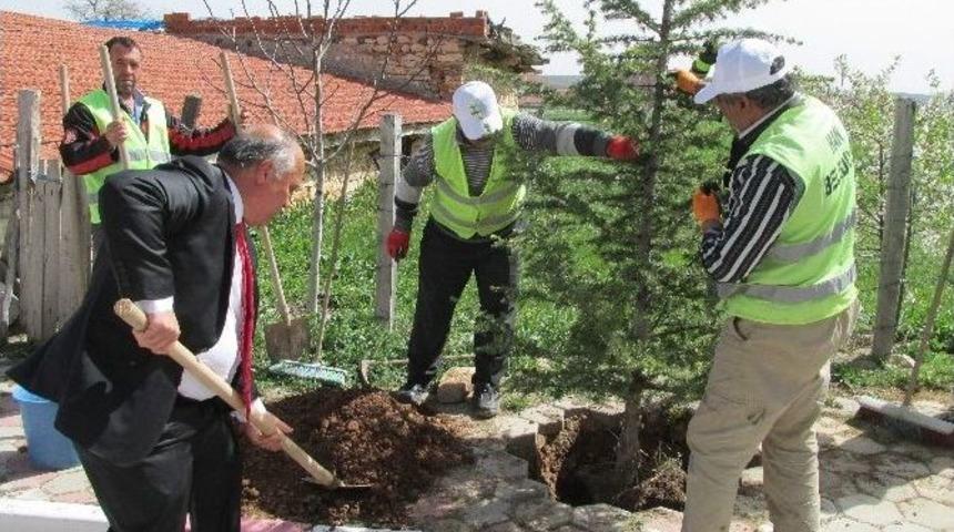 Han&rsquo;ı Yeşillendirme Seferberliği S&uuml;r&uuml;yor