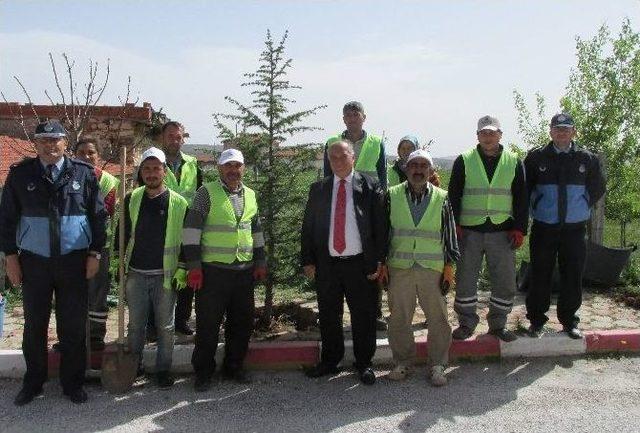 Han’ı Yeşillendirme Seferberliği Sürüyor