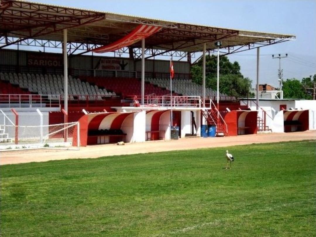 Leylekler Sahaya İndi