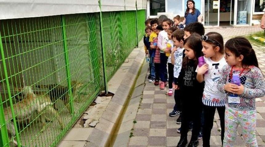 Doğal Yaşam Merkezi &Ccedil;ocuklara Hayvan Sevgisi Aşılıyor