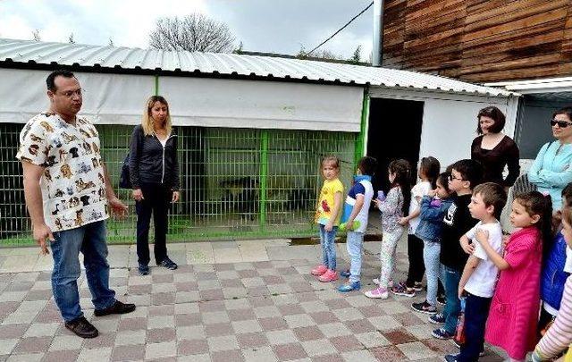 Doğal Yaşam Merkezi Çocuklara Hayvan Sevgisi Aşılıyor