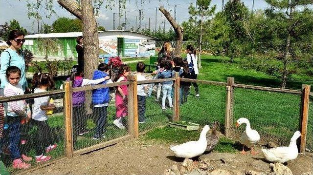 Doğal Yaşam Merkezi Çocuklara Hayvan Sevgisi Aşılıyor