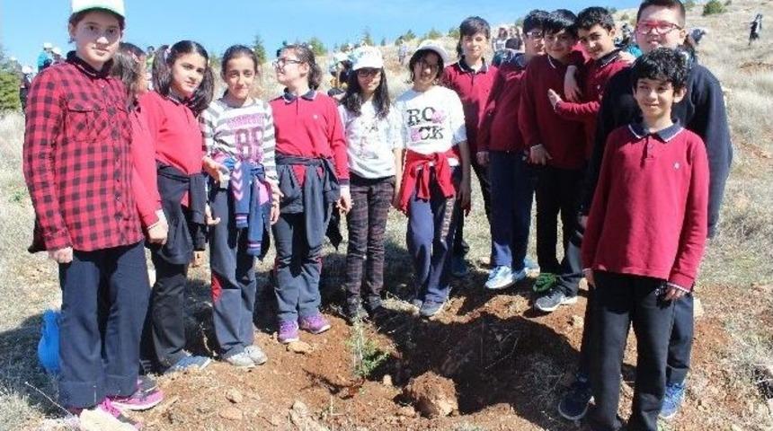 &Ouml;ğrenciler Ağa&ccedil; Dikti