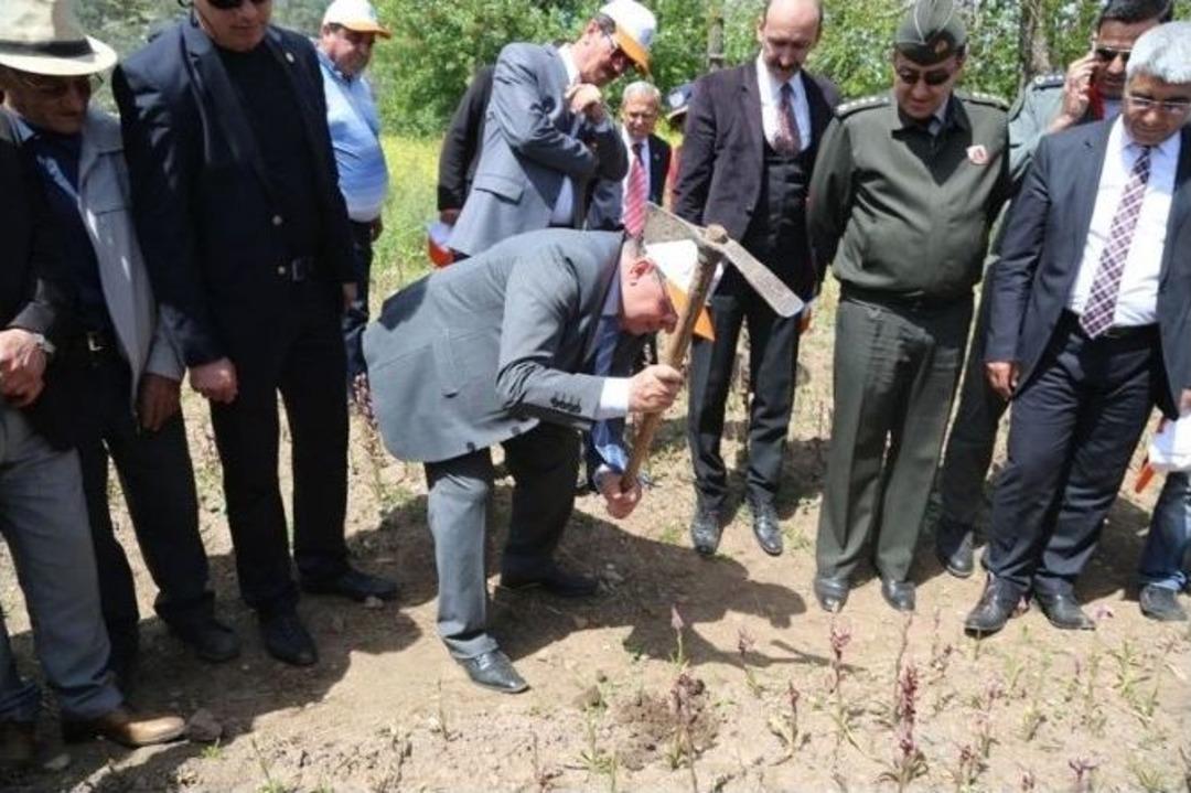 Muğla&rsquo;da Endemik Bitkiler Korunuyor