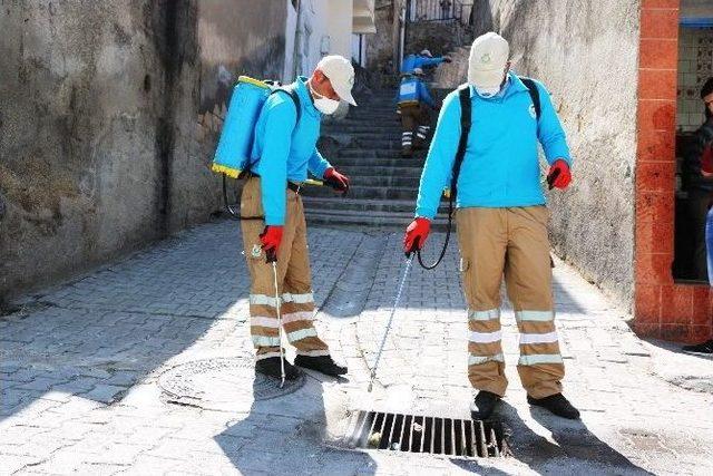 Haliliye’de İlaçlama Çalışmaları Devam Ediyor