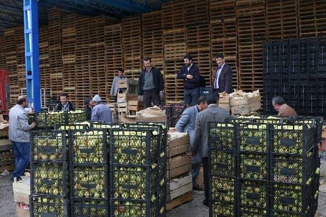 Yahyalı’dan Nusaybin’deki Güvenlik Güçlerine 20 Ton Elma