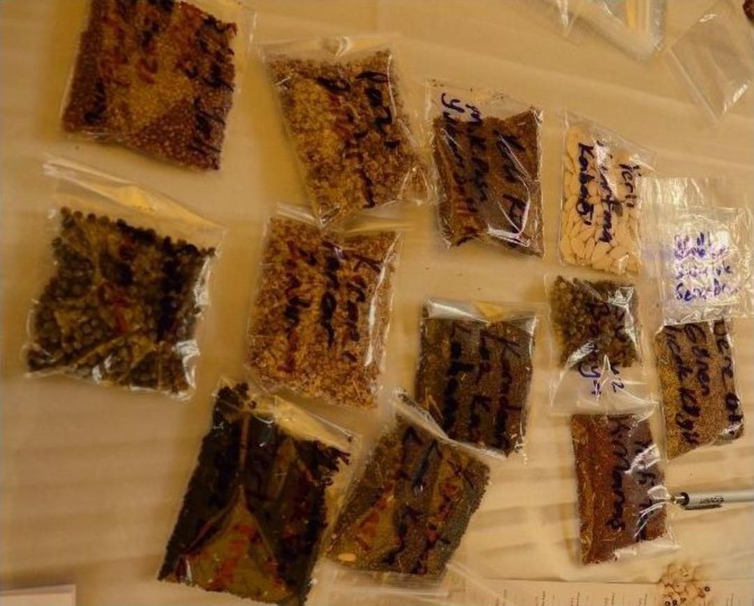 Dedelerinden Kalan 100 Yılık Tohumları Takas Ettiler