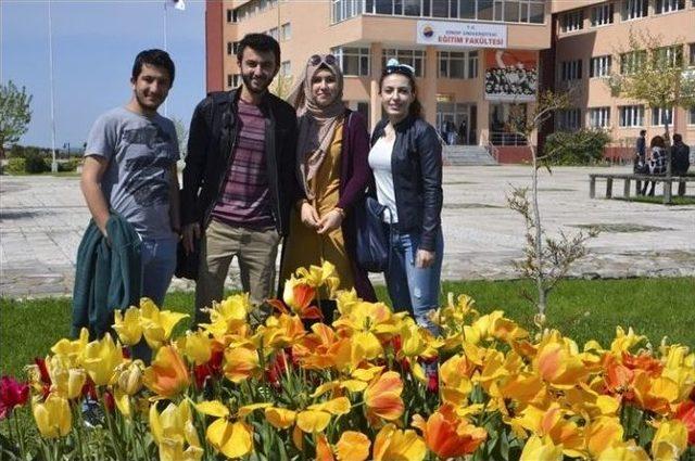 Sinop Üniversitesi’nde Lale Devri