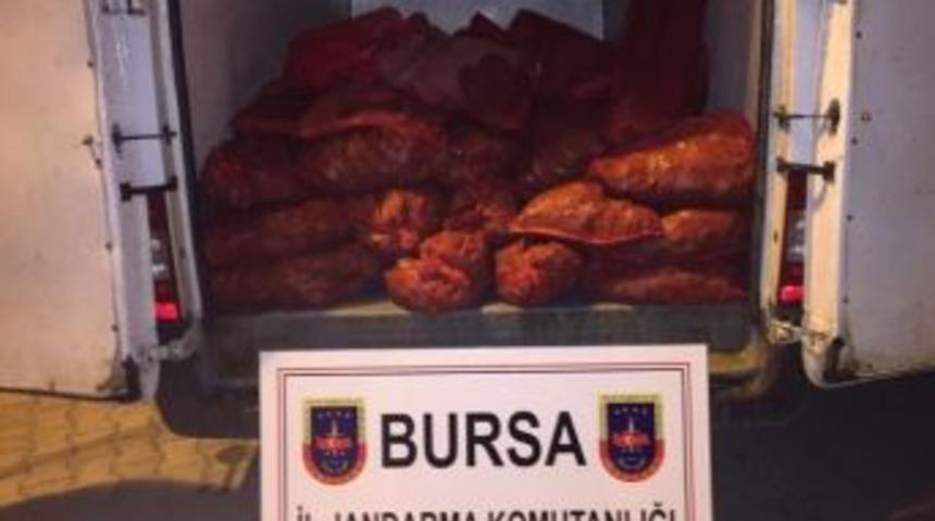 Jandarmadan Ka&ccedil;ak Midye Operasyonu