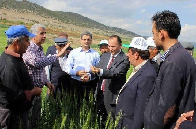 Süne İle Mücadele Başladı