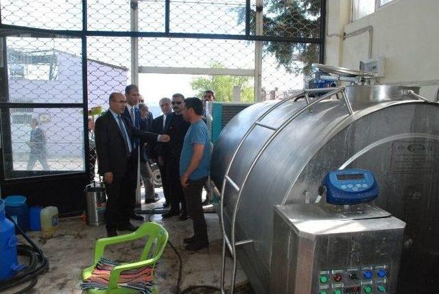 Vali Demirtaş, Kuru Dut Paketleme Tesislerini Gezdi