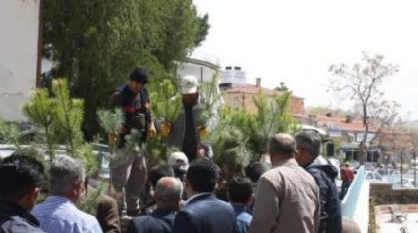 U&ccedil;hisar Belediyesi &Uuml;cretsiz Fidan Dağıtımı Yaptı