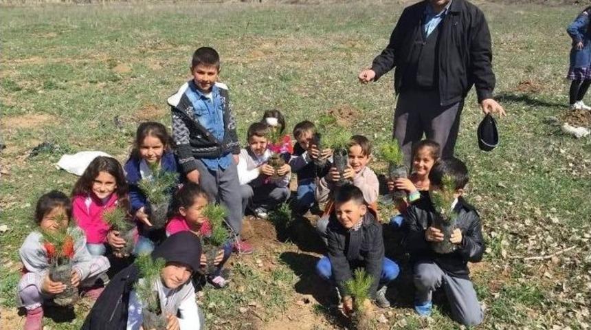 Öğrencilerin Yeşil Doğa Projesi