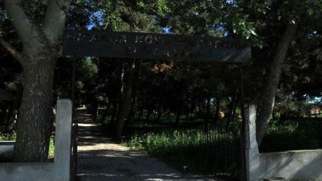 Psikologun K&ouml;y&uuml;nde Yas Var