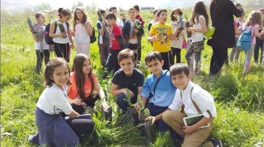 Minikler Fidan Dikti