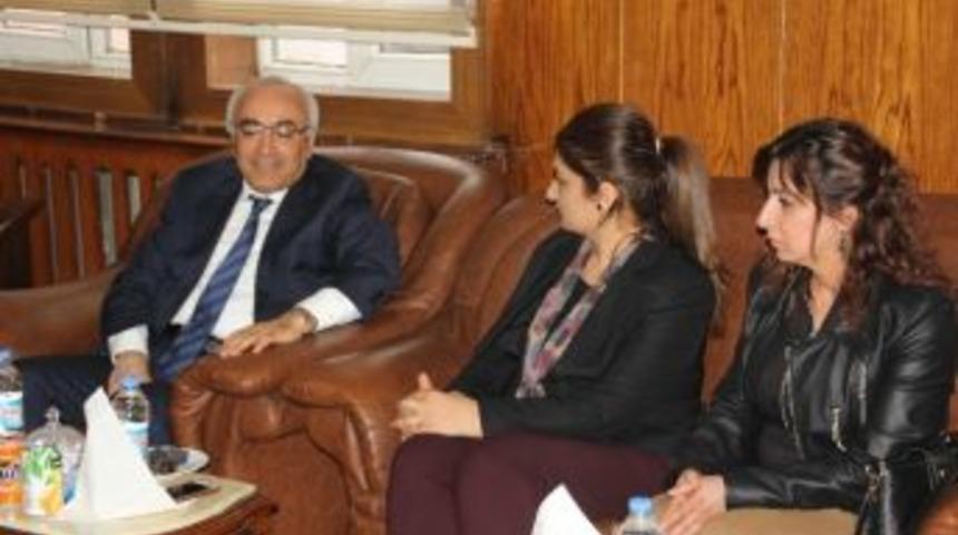 İhd Genel Başkanı T&uuml;rkdoğan Hakkari&rsquo;de