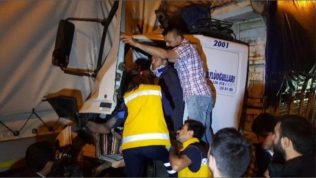 Tem&rsquo;de Can Pazarı