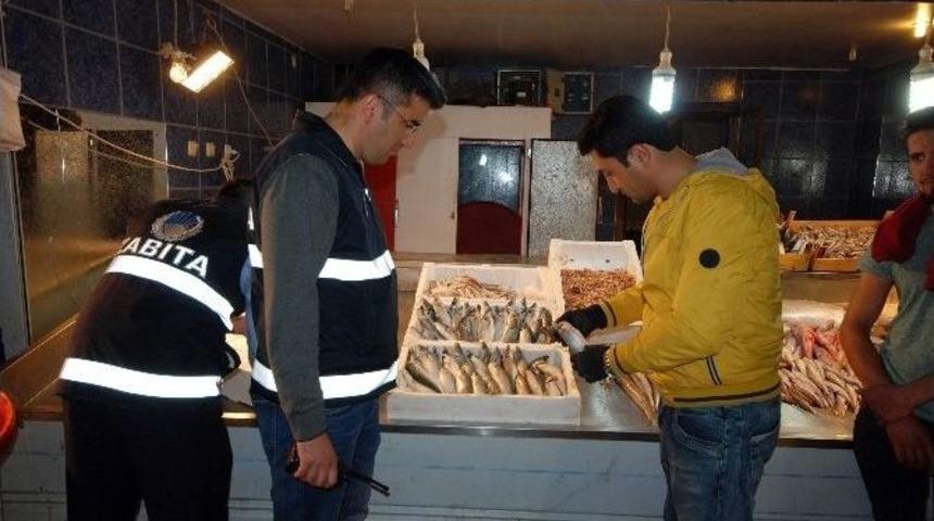 Zabıtadan Bayat Balık Operasyonu