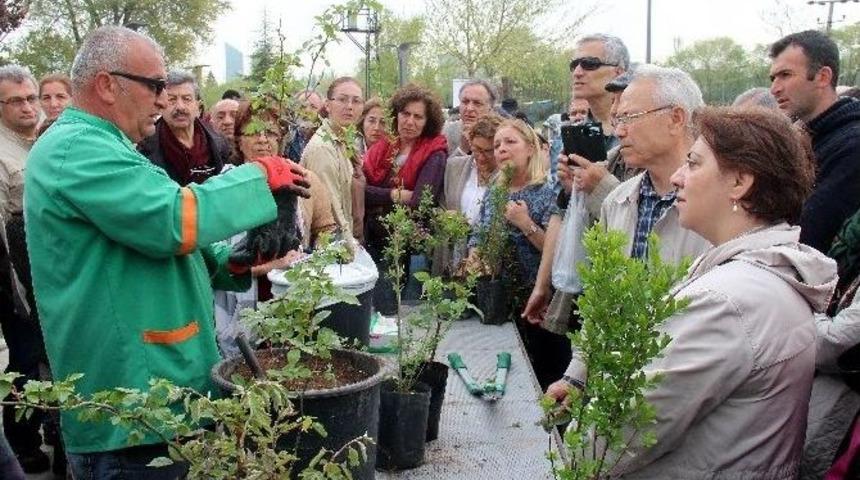 &Ccedil;ankaya Belediyesi&rsquo;nden 300 Bah&ccedil;ıvan Daha