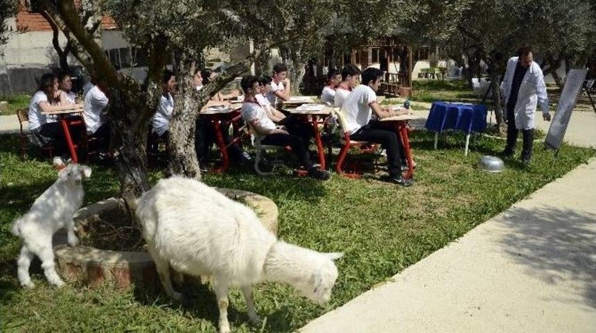 Hababam Sınıfı Ger&ccedil;ek Oldu