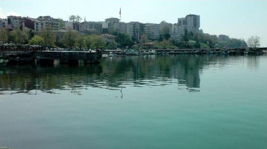 Karadeniz&rsquo;de Yosun &Ouml;l&uuml;mleri Yaşanıyor