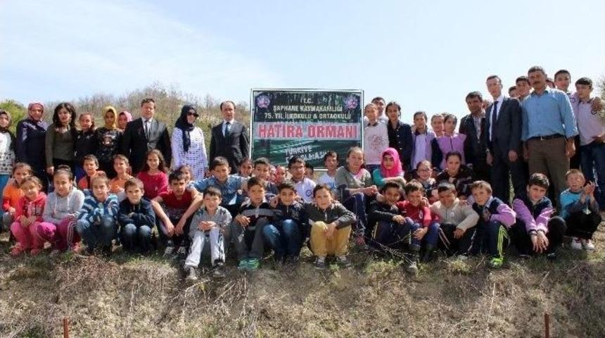 Her &Ouml;ğrenci Kendi Ağacını Dikti