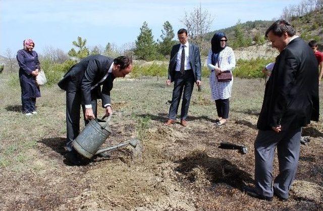 Her Öğrenci Kendi Ağacını Dikti