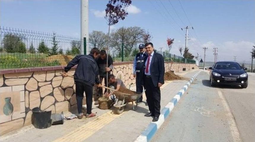 Pazaryeri Belediyesi Ağa&ccedil;landırma &Ccedil;alışmaları Devam Ediyor