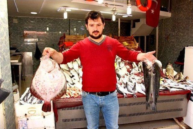 Av Sezonu Kapandı, Balık Fiyatları Arttı 1