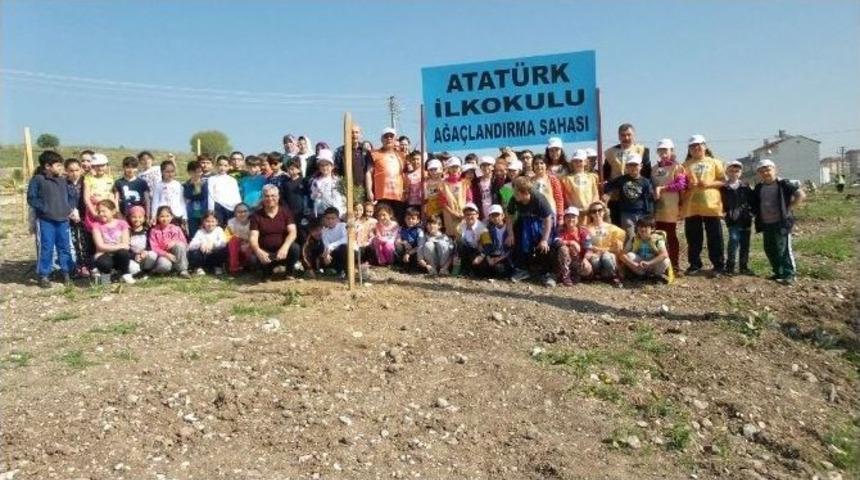 &Ouml;ğrencilerin Ağa&ccedil; Kardeşliği