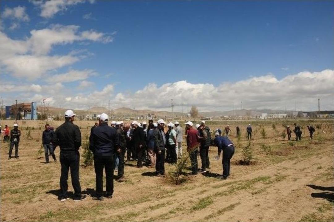 Van&rsquo;da &lsquo;harun Konak Hatıra Ormanı&rsquo; Oluşturuldu