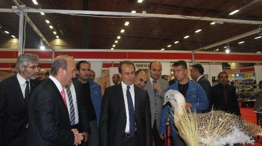 Yaban Hayatı Koruma Ve Rehabilitasyon Merkezi M&uuml;d&uuml;rl&uuml;ğ&uuml; Dataf&rsquo;ta