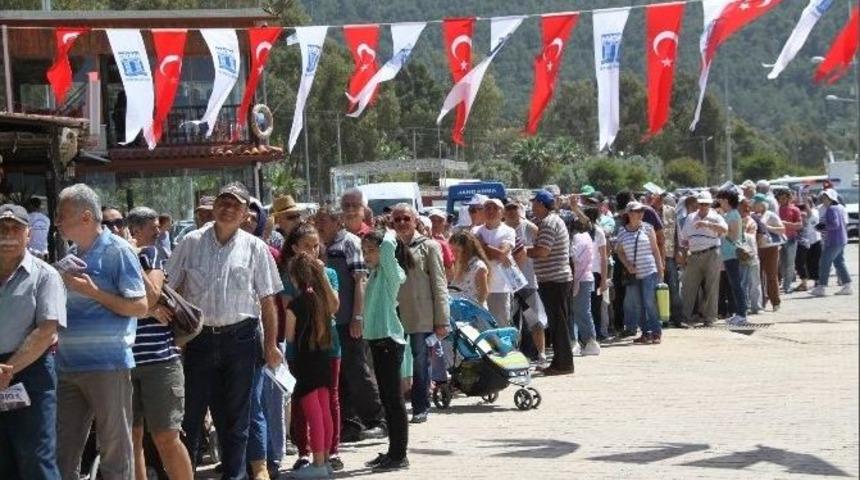 Didim Ve Akb&uuml;kl&uuml;ler Balığa Doydu